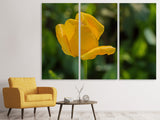 Leinwandbild 3-teilig Gelbe Tulpe XL