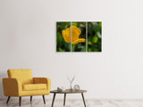 Leinwandbild 3-teilig Gelbe Tulpe XL