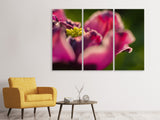 Leinwandbild 3-teilig Makro Tulpe in rot