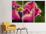 Leinwandbild 3-teilig Makro Tulpe in rot