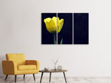 Leinwandbild 3-teilig Leuchtende Tulpe