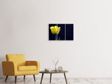 Leinwandbild 3-teilig Leuchtende Tulpe