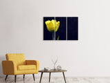 Leinwandbild 3-teilig Leuchtende Tulpe