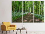 Leinwandbild 3-teilig Wir lieben den Sommer im Wald