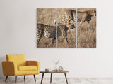 Leinwandbild 3-teilig 2 Leoparden