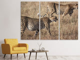Leinwandbild 3-teilig 2 Leoparden