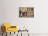 Leinwandbild 3-teilig 2 Leoparden