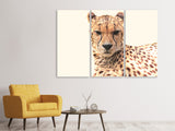 Leinwandbild 3-teilig Gepard in der Sonne