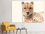 Leinwandbild 3-teilig Gepard in der Sonne