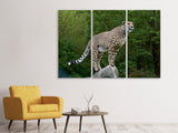 Leinwandbild 3-teilig Gepard auf dem Sprung