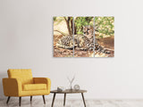 Leinwandbild 3-teilig Sonnender Gepard