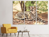 Leinwandbild 3-teilig Sonnender Gepard