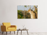 Leinwandbild 3-teilig Gepard in der Natur