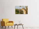 Leinwandbild 3-teilig Gepard in der Natur
