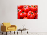 Leinwandbild 3-teilig Frische Tomaten