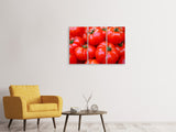 Leinwandbild 3-teilig Frische Tomaten