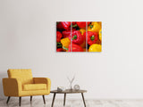 Leinwandbild 3-teilig Frische Gemüsepaprika