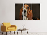 Leinwandbild 3-teilig Typisch Basset