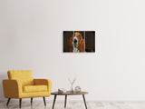 Leinwandbild 3-teilig Typisch Basset