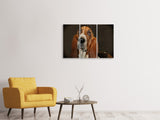 Leinwandbild 3-teilig Typisch Basset