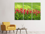 Leinwandbild 3-teilig Rotes Tulpenfeld im Sonnenlicht
