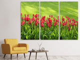Leinwandbild 3-teilig Rotes Tulpenfeld im Sonnenlicht