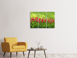 Leinwandbild 3-teilig Rotes Tulpenfeld im Sonnenlicht