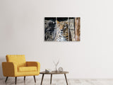Leinwandbild 3-teilig Leopard auf der Lauer