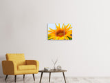 Leinwandbild 3-teilig Grosse Sonnenblume
