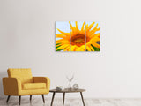 Leinwandbild 3-teilig Grosse Sonnenblume
