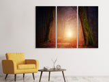 Leinwandbild 3-teilig Herbst im Wald