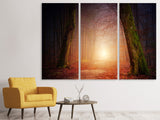 Leinwandbild 3-teilig Herbst im Wald