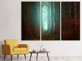 Leinwandbild 3-teilig Stimmung im Wald