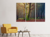 Leinwandbild 3-teilig Alleine im Wald
