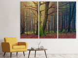 Leinwandbild 3-teilig Alleine im Wald