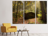Leinwandbild 3-teilig Der Fels im Wald