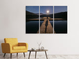 Leinwandbild 3-teilig Allein bei Vollmond