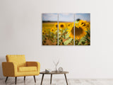 Leinwandbild 3-teilig Eine Sonnenblume im Feld
