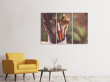 Leinwandbild 3-teilig XL Pinsel