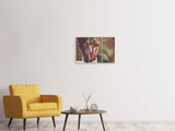 Leinwandbild 3-teilig XL Pinsel
