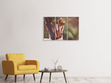 Leinwandbild 3-teilig XL Pinsel