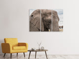 Leinwandbild 3-teilig XL Elefant