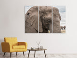 Leinwandbild 3-teilig XL Elefant
