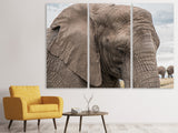 Leinwandbild 3-teilig XL Elefant