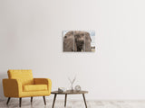Leinwandbild 3-teilig XL Elefant