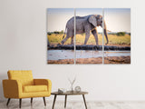 Leinwandbild 3-teilig Elefant in der Natur