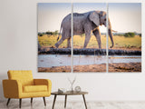 Leinwandbild 3-teilig Elefant in der Natur
