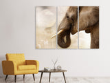 Leinwandbild 3-teilig Portrait eines Elefant