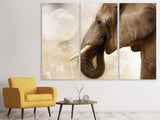 Leinwandbild 3-teilig Portrait eines Elefant