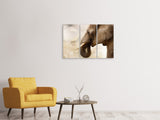Leinwandbild 3-teilig Portrait eines Elefant